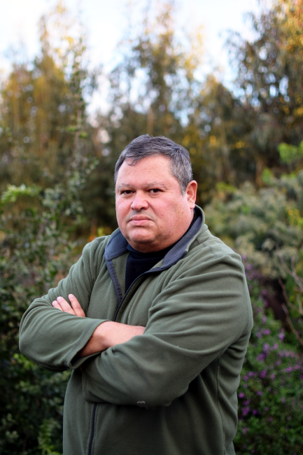 Alejandro Scheihing